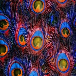 Meet your Posher, Alena